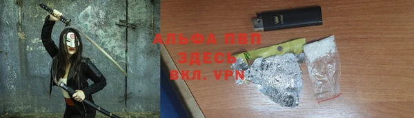 прущие крисы Надым