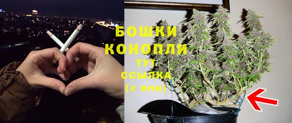прущие крисы Надым