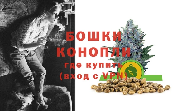 PSILOCYBIN Наволоки