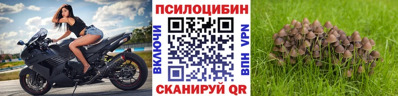 Галлюциногенные грибы прущие грибы  Кемерово 